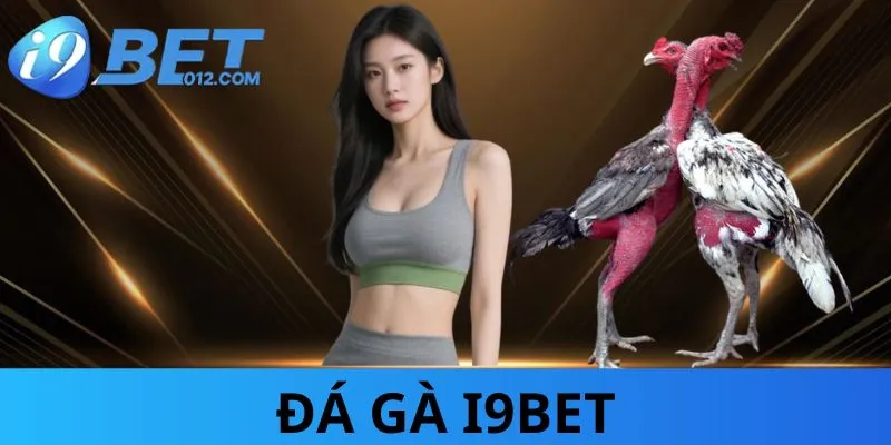 da-ga-i9bet